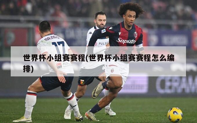 世界杯小组赛赛程(世界杯小组赛赛程怎么编排)