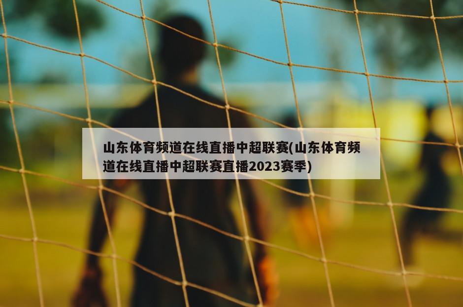 山东体育频道在线直播中超联赛(山东体育频道在线直播中超联赛直播2023赛季)
