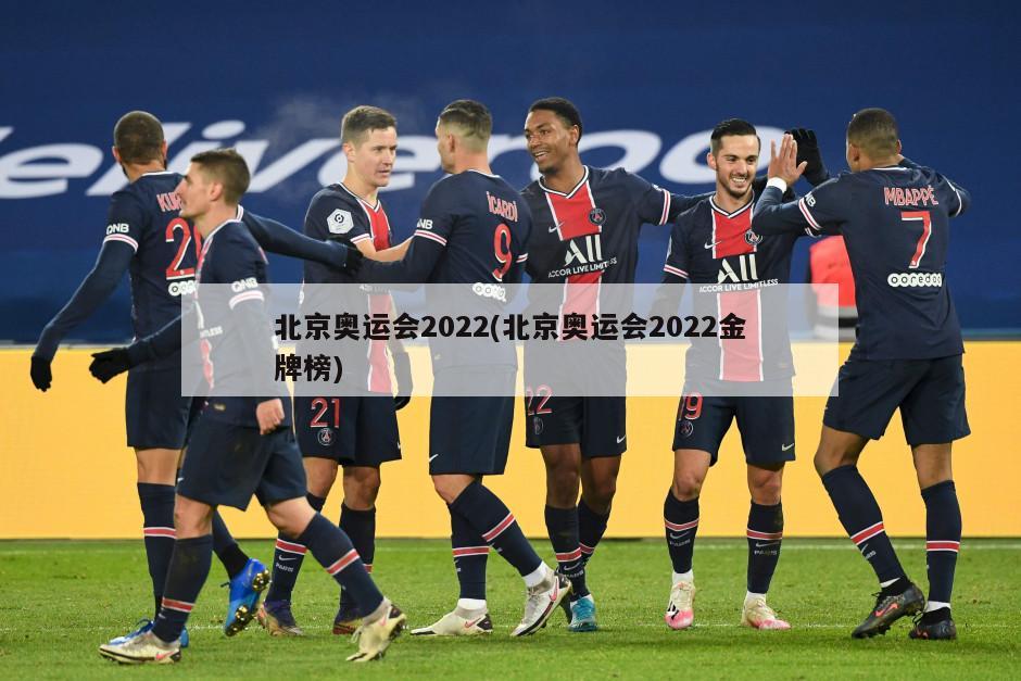 北京奥运会2022(北京奥运会2022金牌榜)