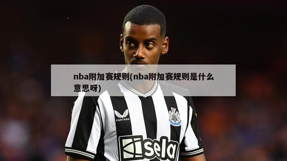 nba附加赛规则(nba附加赛规则是什么意思呀)