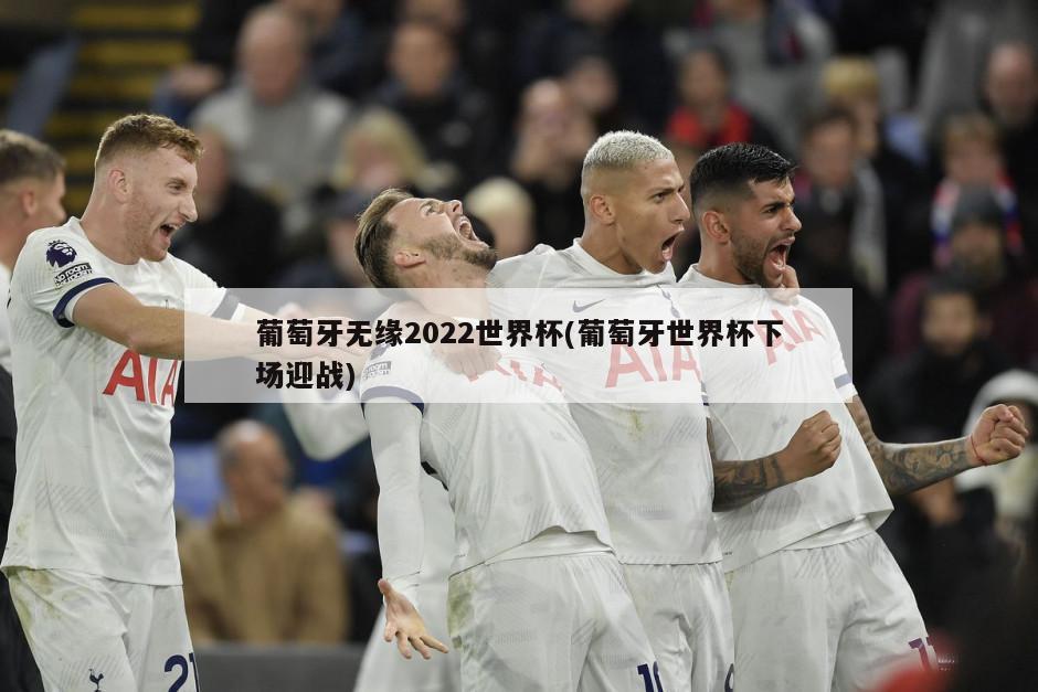 葡萄牙无缘2022世界杯(葡萄牙世界杯下场迎战)