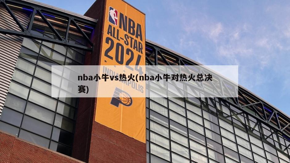 nba小牛vs热火(nba小牛对热火总决赛)