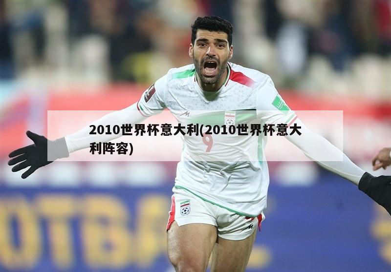 2010世界杯意大利(2010世界杯意大利阵容)