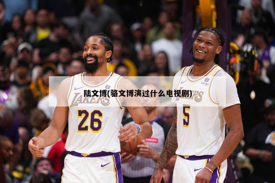 陆文博(骆文博演过什么电视剧)