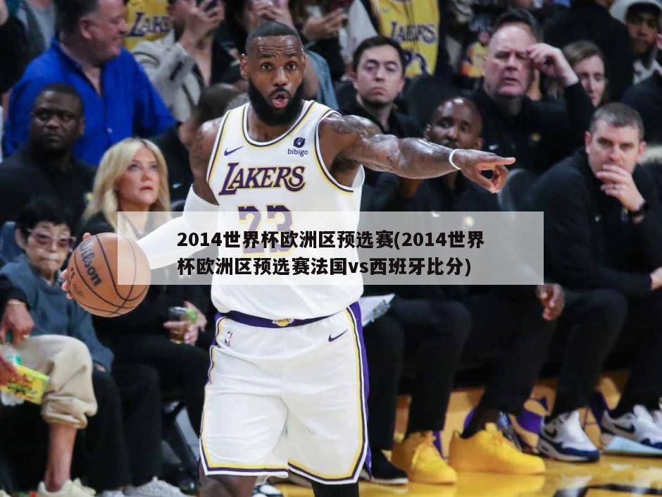 2014世界杯欧洲区预选赛(2014世界杯欧洲区预选赛法国vs西班牙比分)