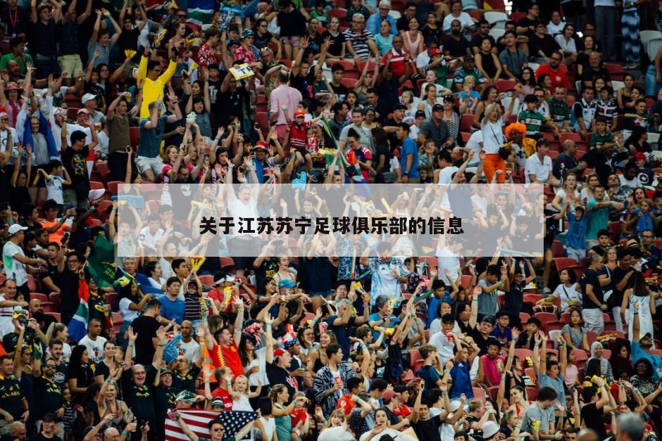 关于江苏苏宁足球俱乐部的信息