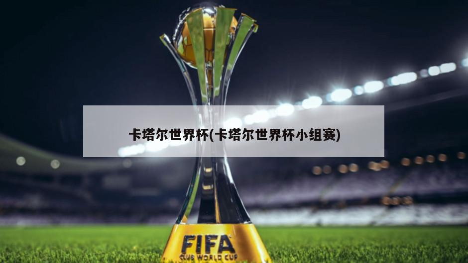 卡塔尔世界杯(卡塔尔世界杯小组赛)