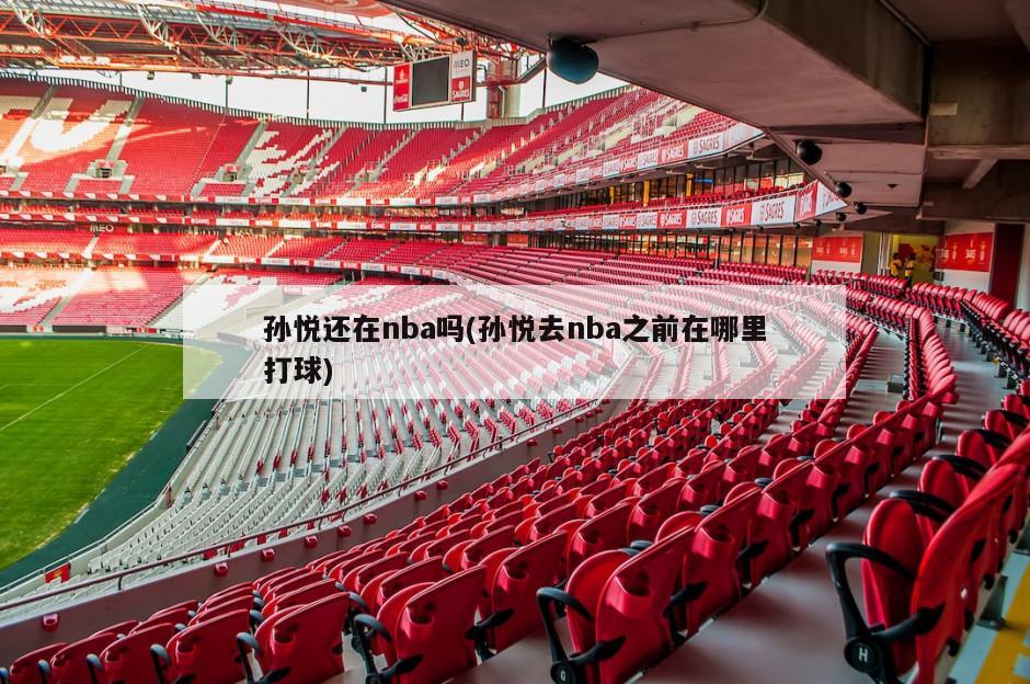 孙悦还在nba吗(孙悦去nba之前在哪里打球)