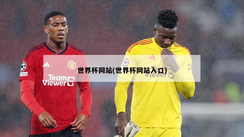 世界杯网站(世界杯网站入口)