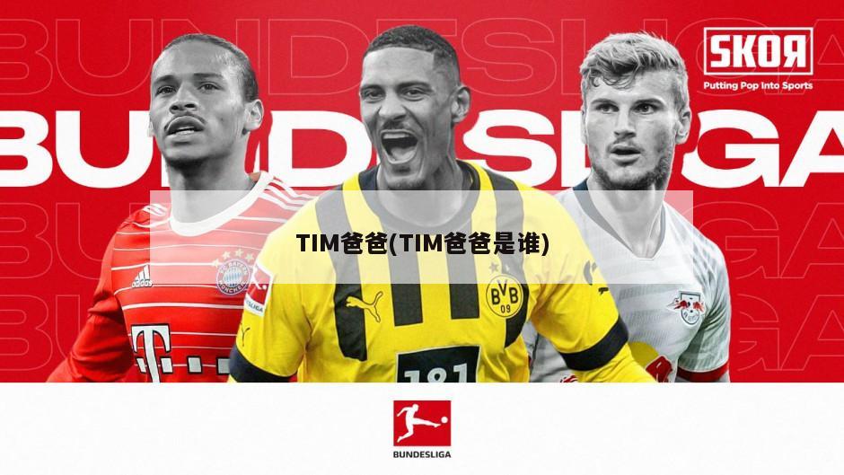 TIM爸爸(TIM爸爸是谁)
