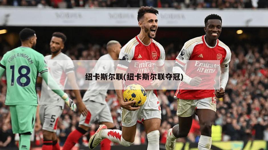 纽卡斯尔联(纽卡斯尔联夺冠)