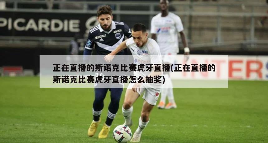 正在直播的斯诺克比赛虎牙直播(正在直播的斯诺克比赛虎牙直播怎么抽奖)