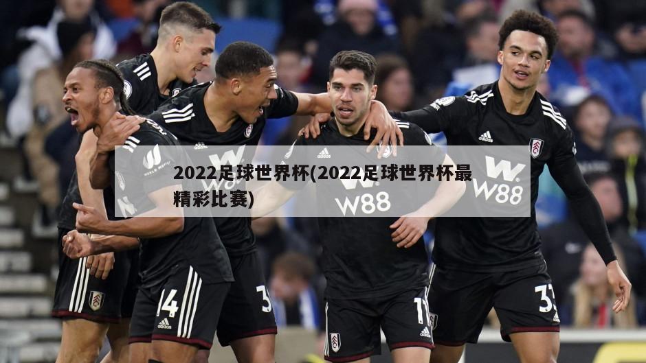 2022足球世界杯(2022足球世界杯最精彩比赛)