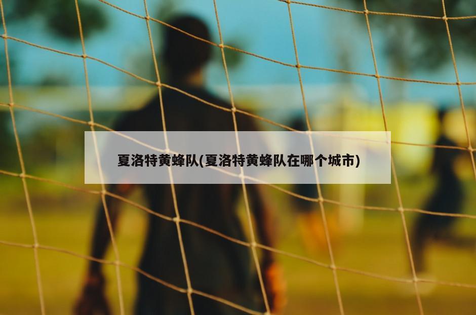 夏洛特黄蜂队(夏洛特黄蜂队在哪个城市)