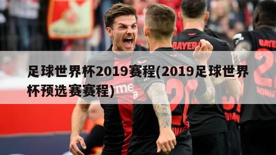 足球世界杯2019赛程(2019足球世界杯预选赛赛程)