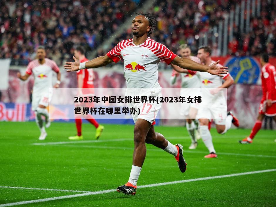 2023年中国女排世界杯(2023年女排世界杯在哪里举办)