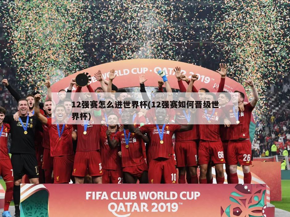 12强赛怎么进世界杯(12强赛如何晋级世界杯)