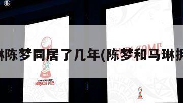 马琳陈梦同居了几年(陈梦和马琳拥抱)
