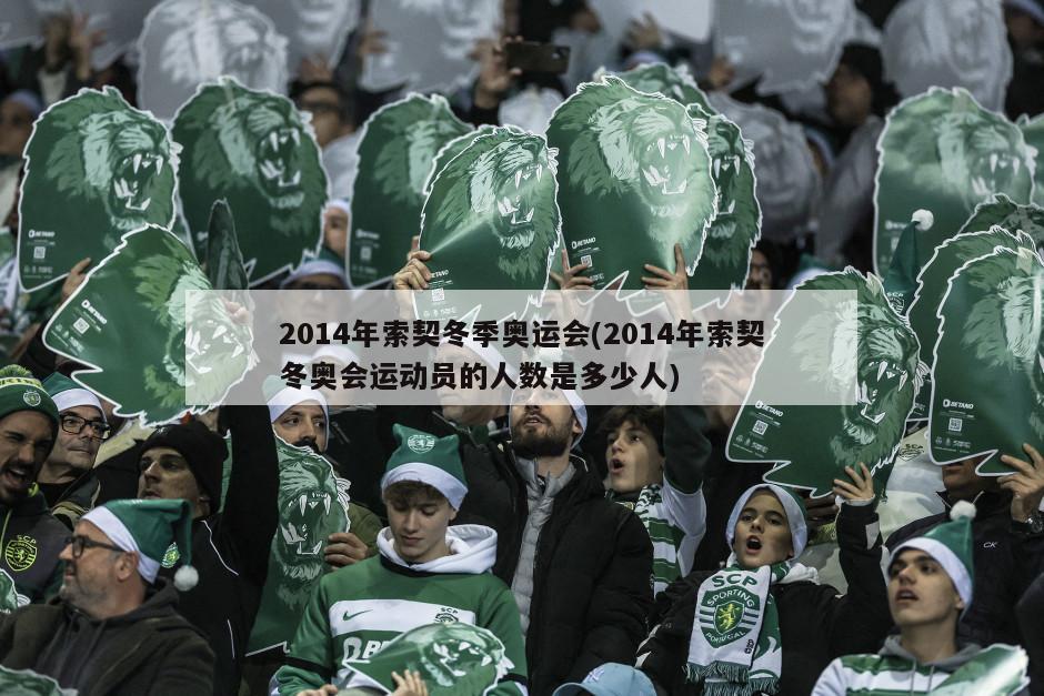2014年索契冬季奥运会(2014年索契冬奥会运动员的人数是多少人)