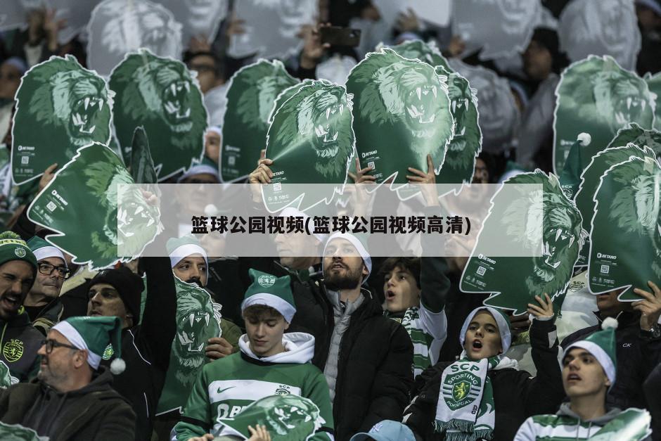 篮球公园视频(篮球公园视频高清)