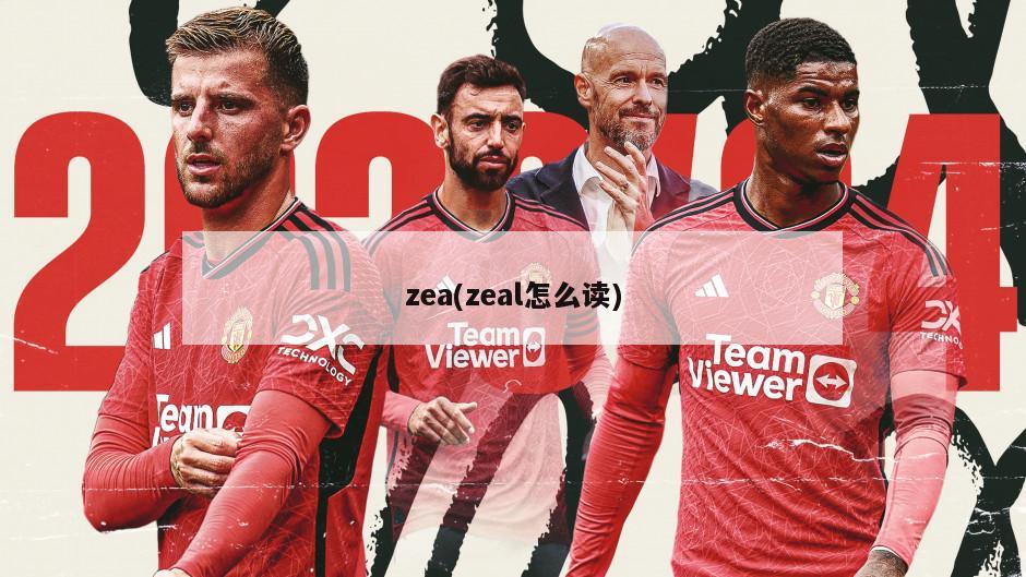 zea(zeal怎么读)