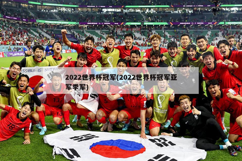 2022世界杯冠军(2022世界杯冠军亚军季军)