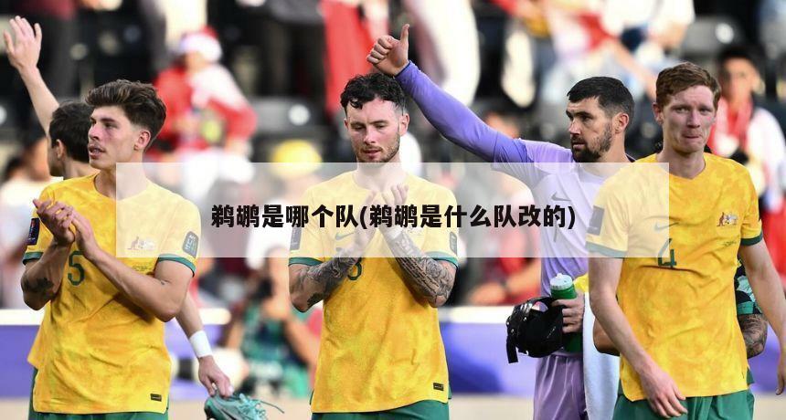 鹈鹕是哪个队(鹈鹕是什么队改的)