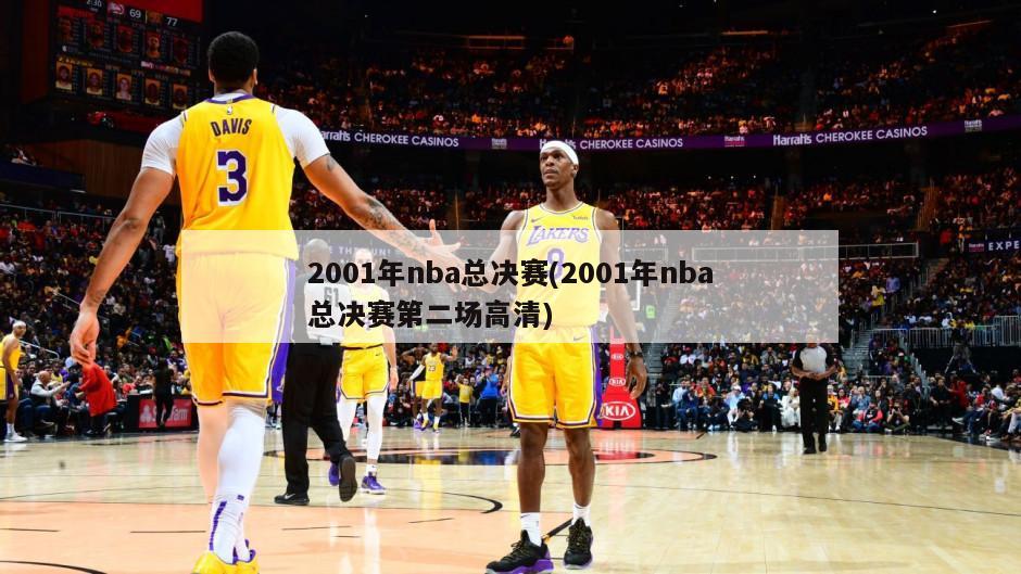 2001年nba总决赛(2001年nba总决赛第二场高清)
