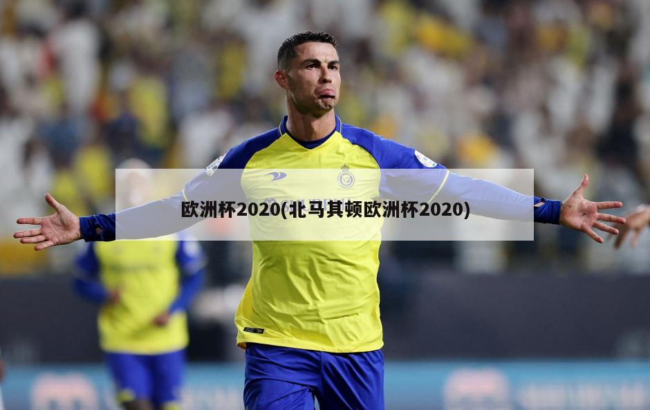 欧洲杯2020(北马其顿欧洲杯2020)