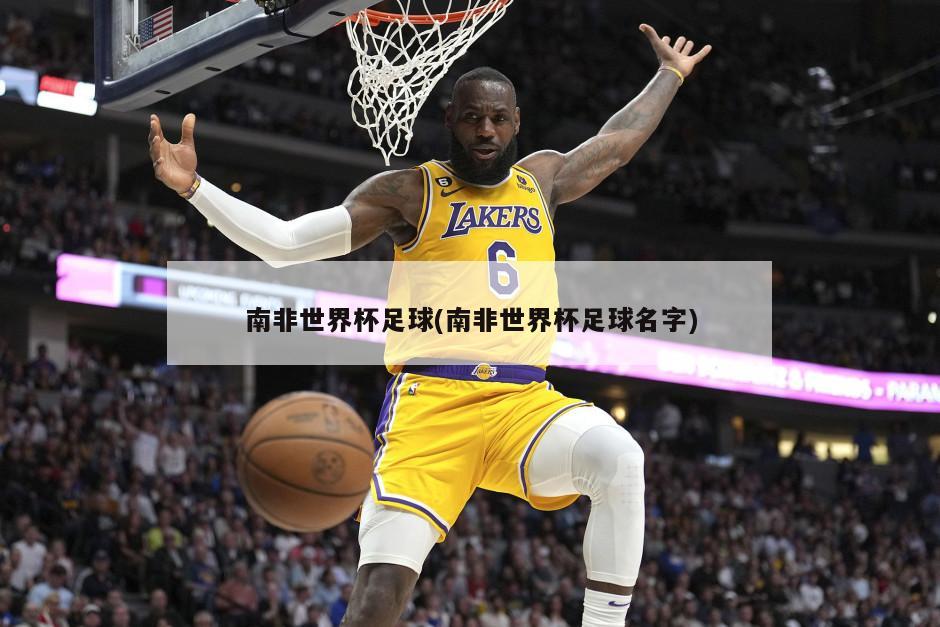 南非世界杯足球(南非世界杯足球名字)