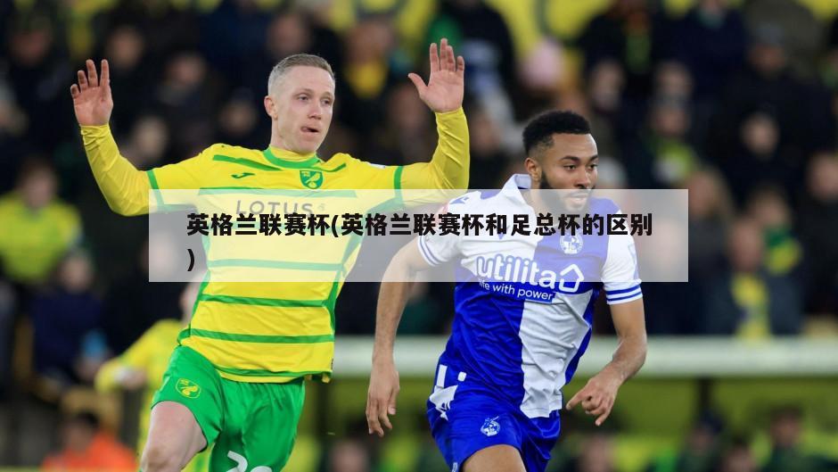 英格兰联赛杯(英格兰联赛杯和足总杯的区别)