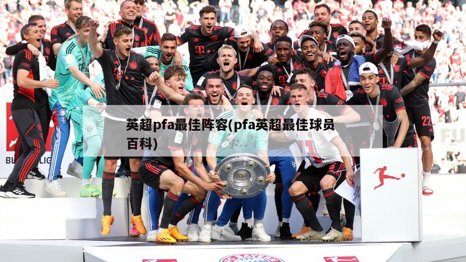 英超pfa最佳阵容(pfa英超最佳球员 百科)