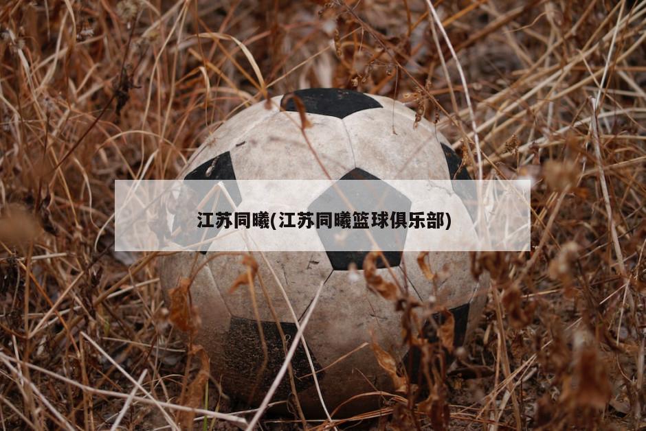江苏同曦(江苏同曦篮球俱乐部)