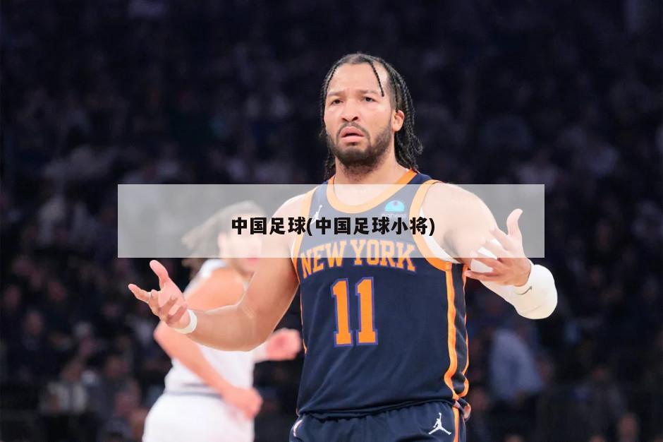 中国足球(中国足球小将)