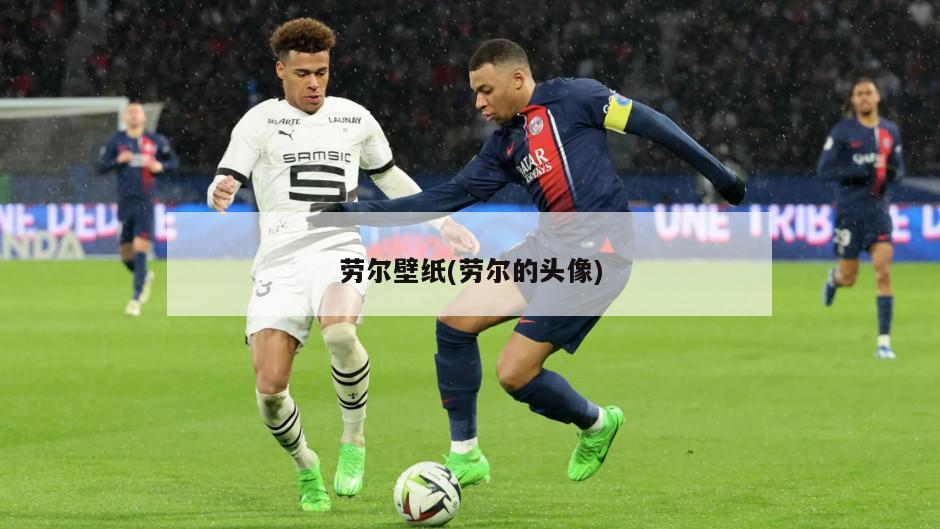 劳尔壁纸(劳尔的头像)