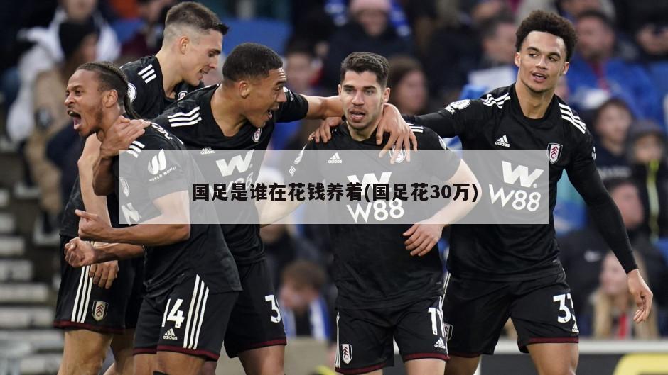 国足是谁在花钱养着(国足花30万)
