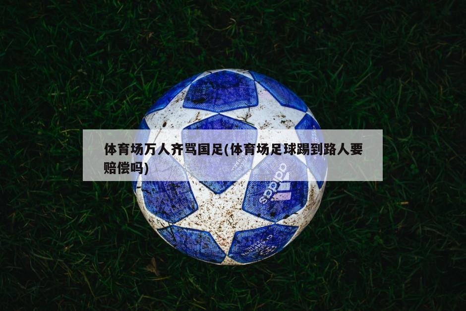 体育场万人齐骂国足(体育场足球踢到路人要赔偿吗)