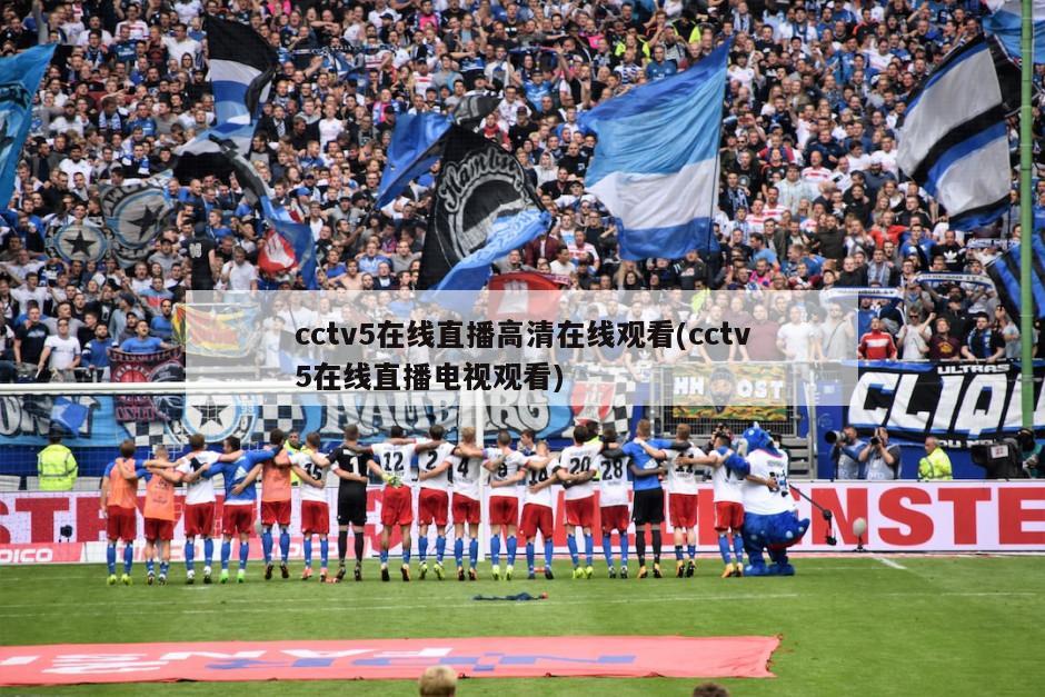 cctv5在线直播高清在线观看(cctv5在线直播电视观看)