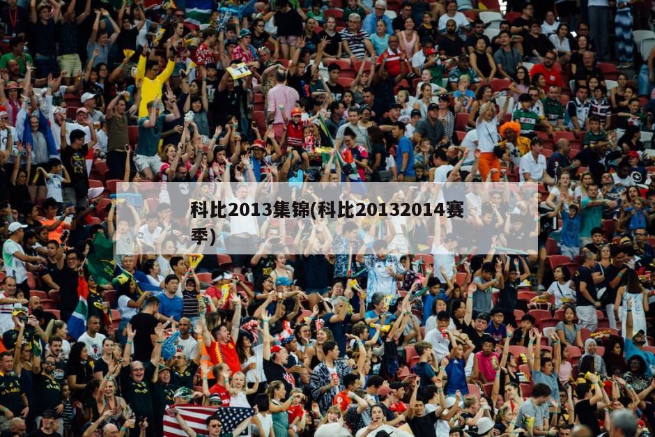 科比2013集锦(科比20132014赛季)