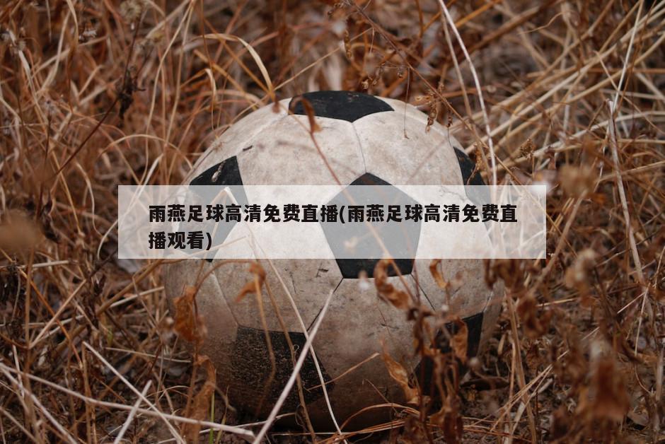 雨燕足球高清免费直播(雨燕足球高清免费直播观看)