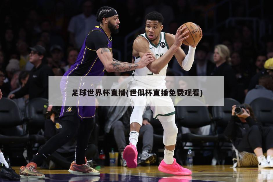 足球世界杯直播(世俱杯直播免费观看)