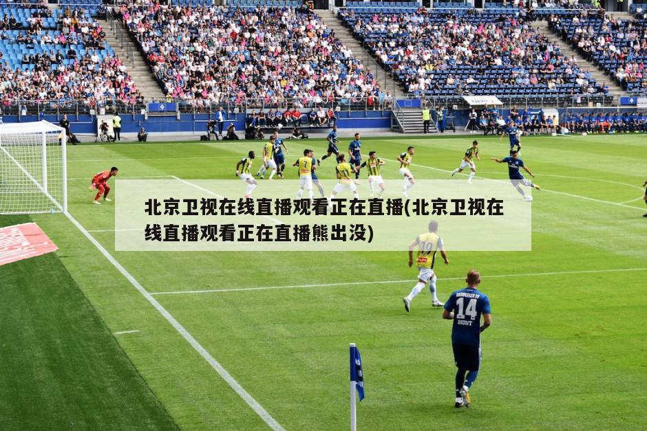 北京卫视在线直播观看正在直播(北京卫视在线直播观看正在直播熊出没)