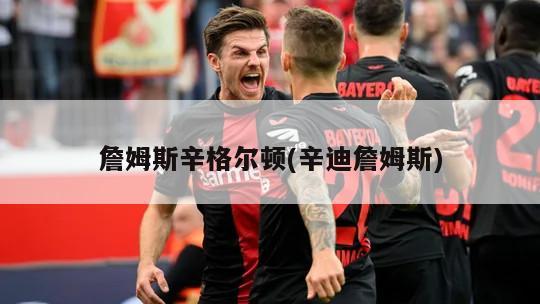 詹姆斯辛格尔顿(辛迪詹姆斯)