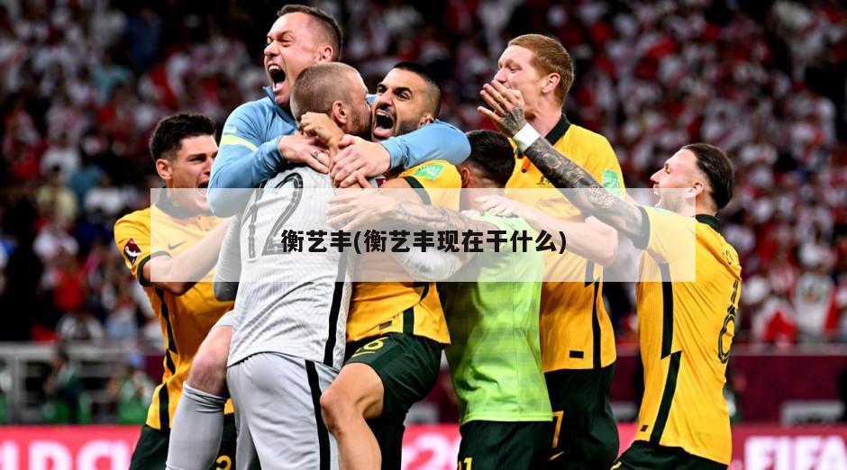衡艺丰(衡艺丰现在干什么)