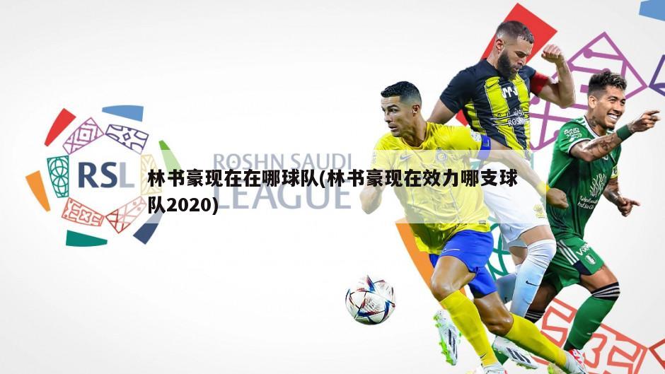 林书豪现在在哪球队(林书豪现在效力哪支球队2020)