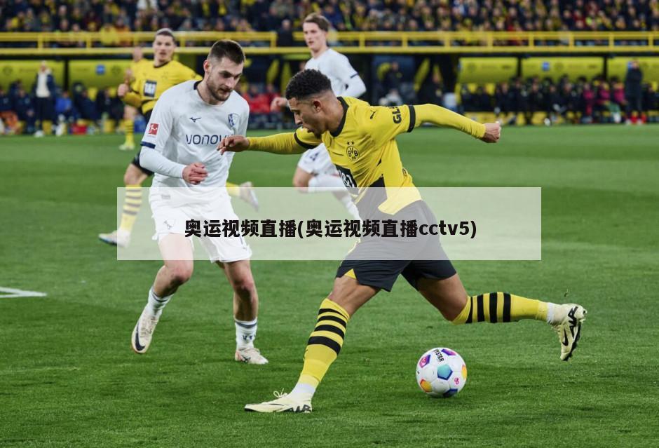 奥运视频直播(奥运视频直播cctv5)