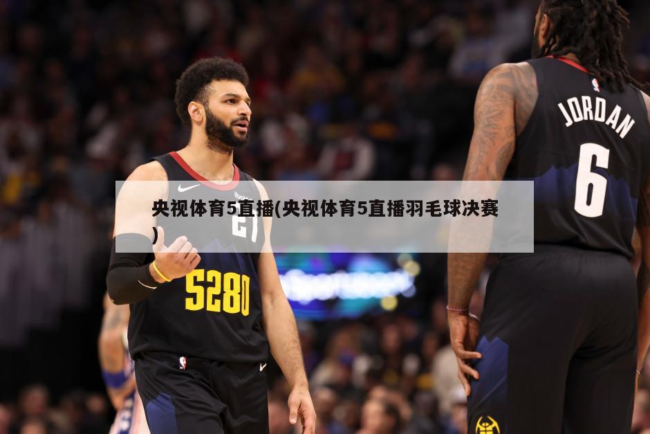 央视体育5直播(央视体育5直播羽毛球决赛)