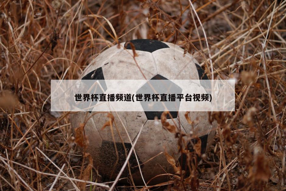 世界杯直播频道(世界杯直播平台视频)