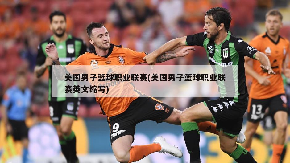 美国男子篮球职业联赛(美国男子篮球职业联赛英文缩写)