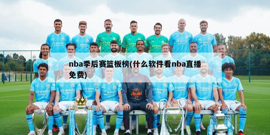 nba季后赛篮板榜(什么软件看nba直播免费)